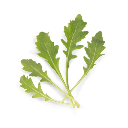 Picture of Wild Rocket Saturn Tz1138